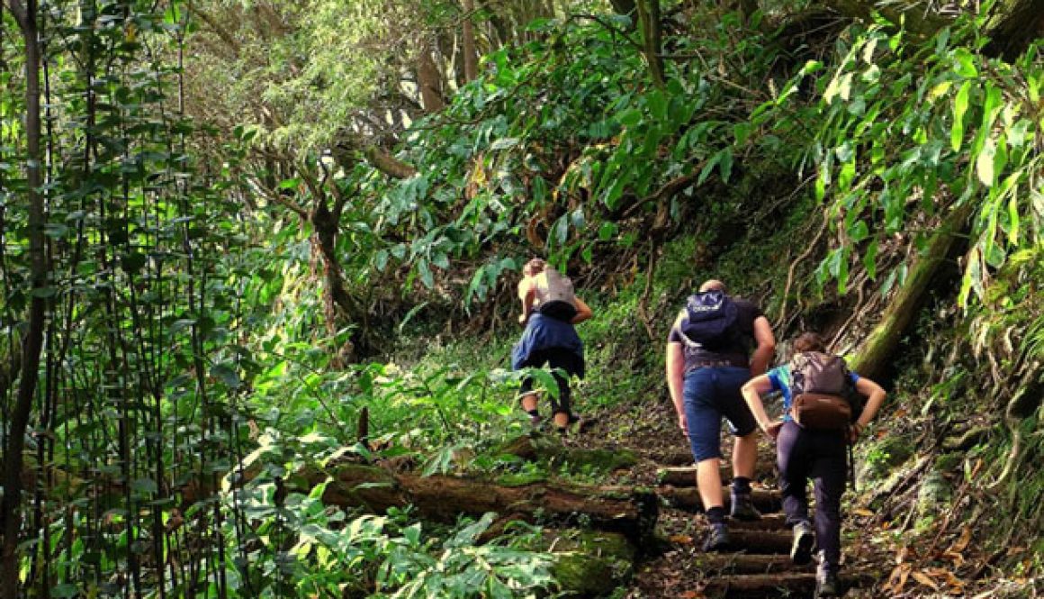 Paket Wisata Soft Trekkingg