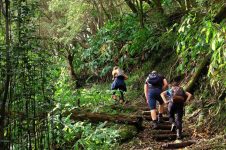 Paket Wisata Soft Trekkingg