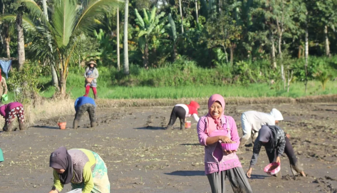 WhatsApp Image 2025-06-16 at 04.49.17