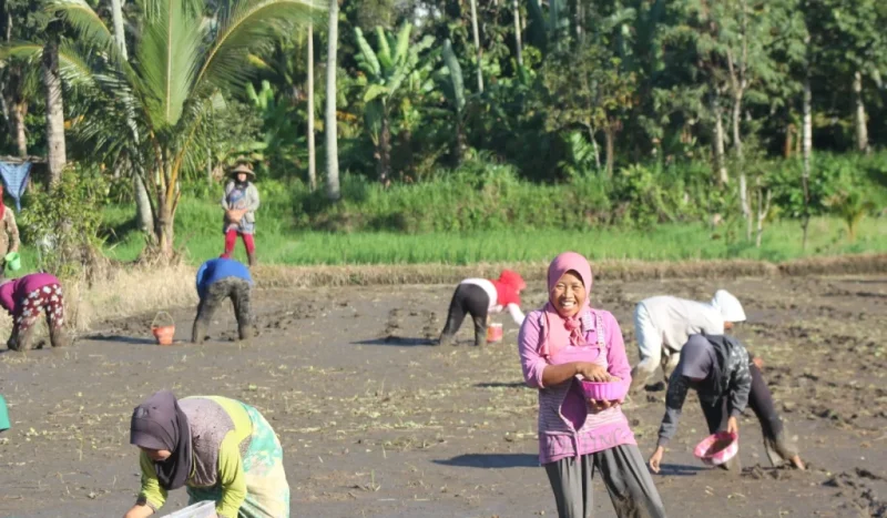 WhatsApp Image 2025-06-16 at 04.49.17